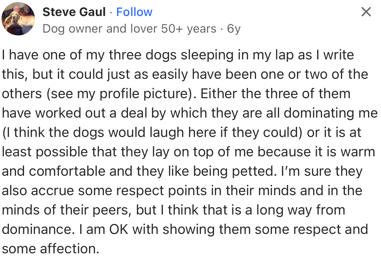 Is this a sign of domination or are these dogs just looking for a warm place to put their head and be petted?