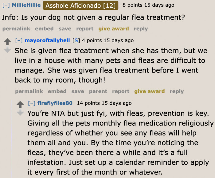The OP reveals that they have many pets at home.