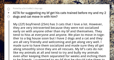 Man Gets All Worked Up After Being Told By His Gf To Train His Introverted Cats Before She Moves In With Her Pets
