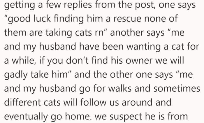 Neighbors start chiming in, offering everything from warnings about rescues to a home ready to adopt him.