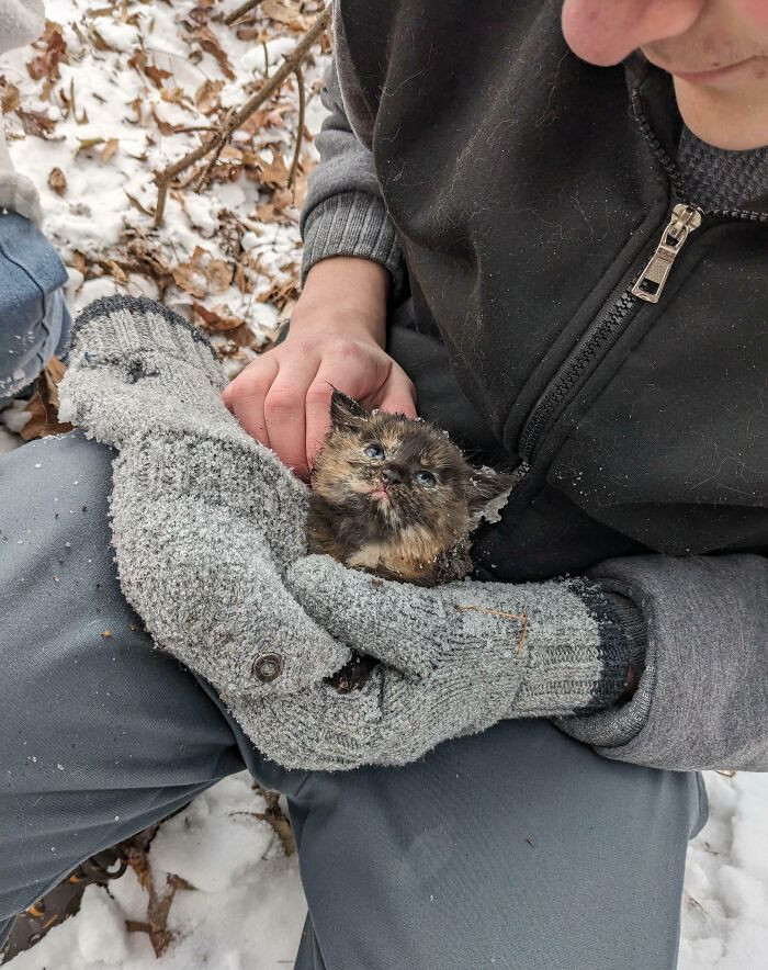 "We Found This Poor Little Kitten In The Woods, Covered In Ice, With Her Fur Stuck To The Hunk Of Plastic She Was Hiding Under For Shelter"