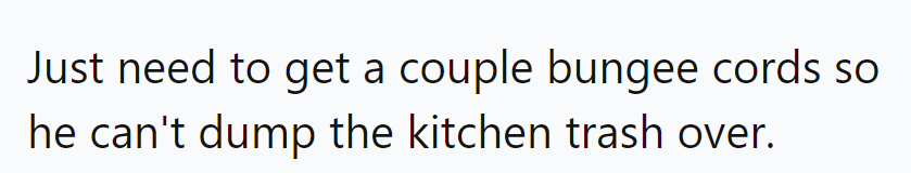 Trash tantrums meet their match: bungee cord chic coming right up!