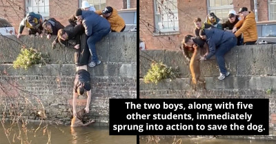 Brave Students Dangle Over Canal In A Heart-Stopping Mission To Save Helpless Pooch That Fell In
