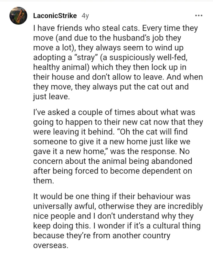 This Redditor shares a story, and apparently, they have a friend who steals cats too