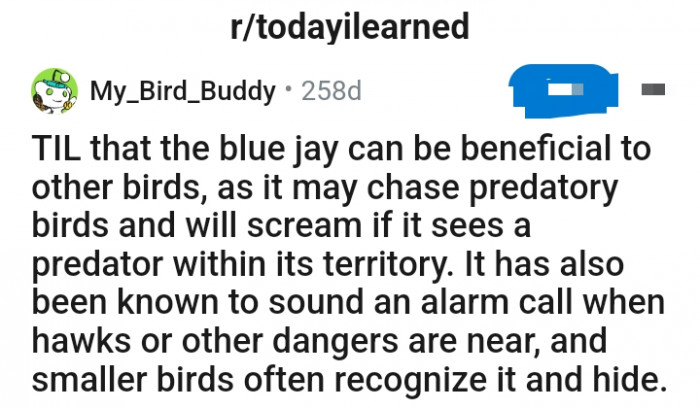 Meet u/My_Bird_Buddy, a Redditor who has an interesting piece of information to share with the TodayILearned subreddit group