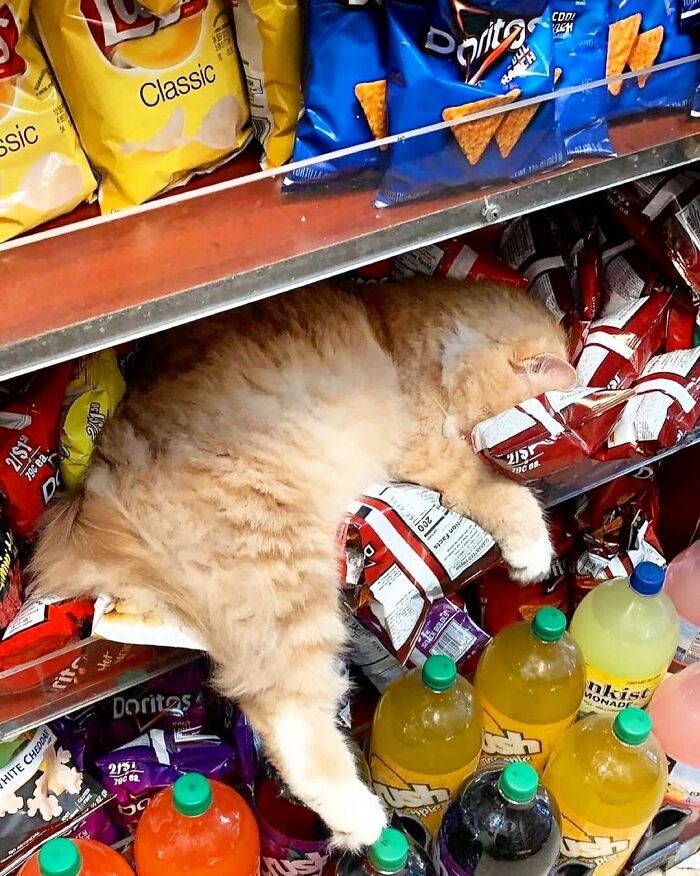 5. Who knew Doritos make such good pillows?