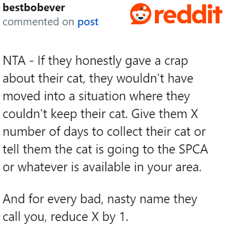 More proof that the sisters no longer care about the cat.