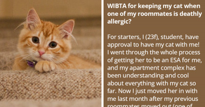 Girl Questions If She’s Right for Keeping a Cat When Her Incoming Roommate Has a Serious Cat Allergy