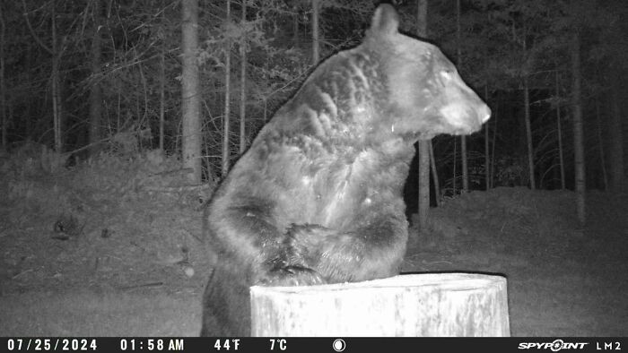 49. Bartender, I'll Have Another