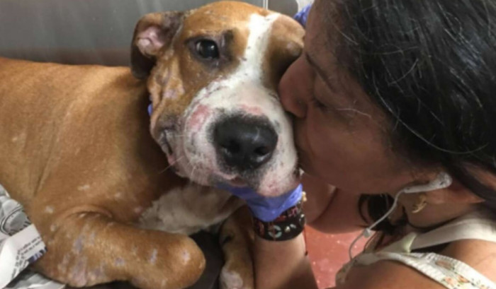 Duncan died having known great love, from the staff at LifeLine Animal Project and from his family