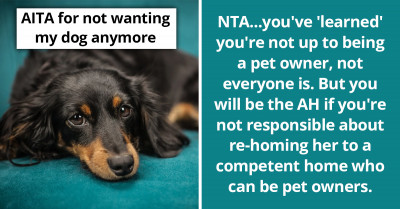 Pet Owner Wants To Let Go Of Their Dog After Realizing That Caring For One Is Something They Simply Can’t Handle