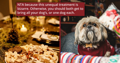 Redditor Isn't Allowed To Bring Their Dog To Family Christmas, So They Consider Skipping Christmas All Together