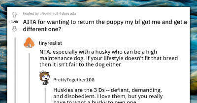 Boyfriend Learns An Expensive Lesson After Surprising His GF With A Siberian Husky That Proved To Be The Wrong Breed For Her