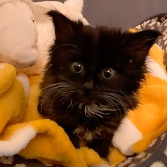 Sprout's eyes were her most noticeable feature.