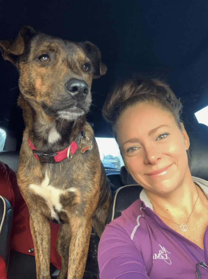 Clad the good boy dog posing proudly with happy adopter caption