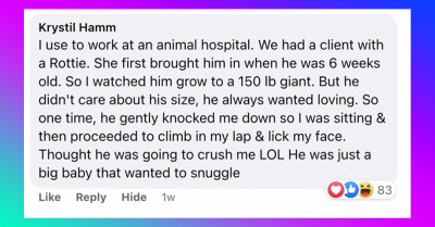 21 Wholesome Posts That Will Make You Realize That Taking Your Pet To The Vet Doesn’t Have To Be A Terrible Experience