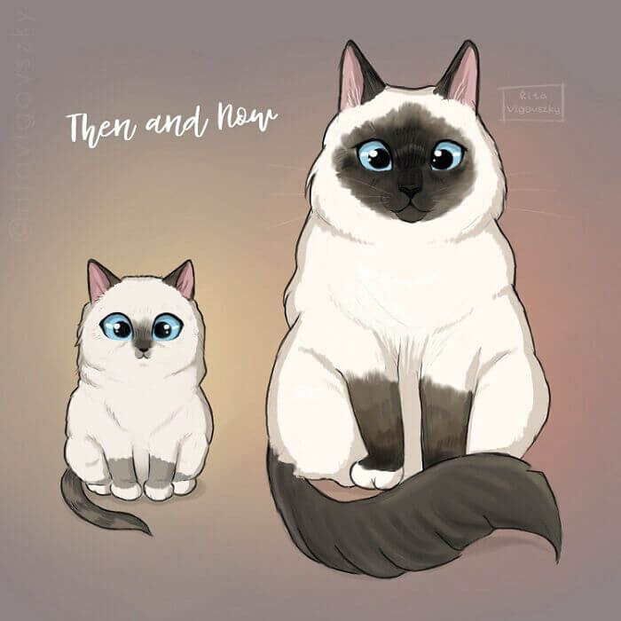 8. It's the same big blue eyes and dopey expression