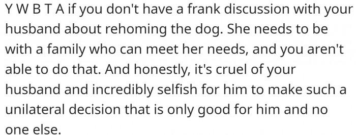 Frank discussion about rehoming the dog is needed.