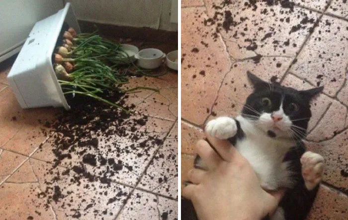 1. That’s the face of someone rehearsing their alibi in real time.