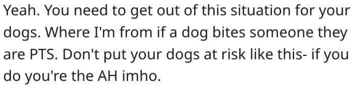 12. She should move out to protect her dogs.