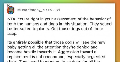 Redditor Asks For Advice After Confronting Her Brother And SIL About Mistreating Their Dogs