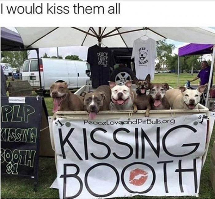 23. I would kiss them all as well