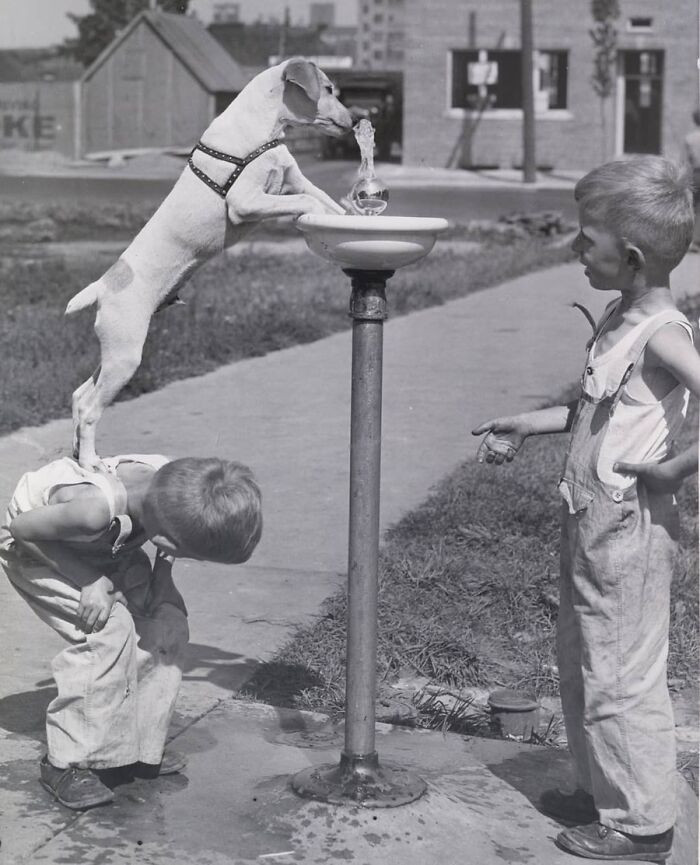 "Giving a pal a boost on a hot day, August 28, 1938."