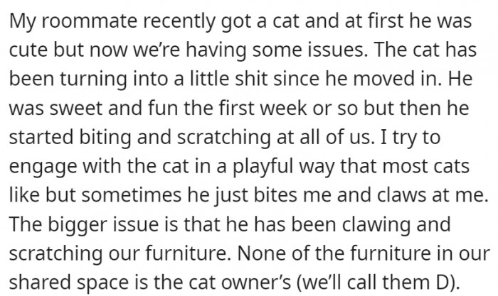 The cat was cute and fun at first but then all of that changed after one week of the cat staying with them