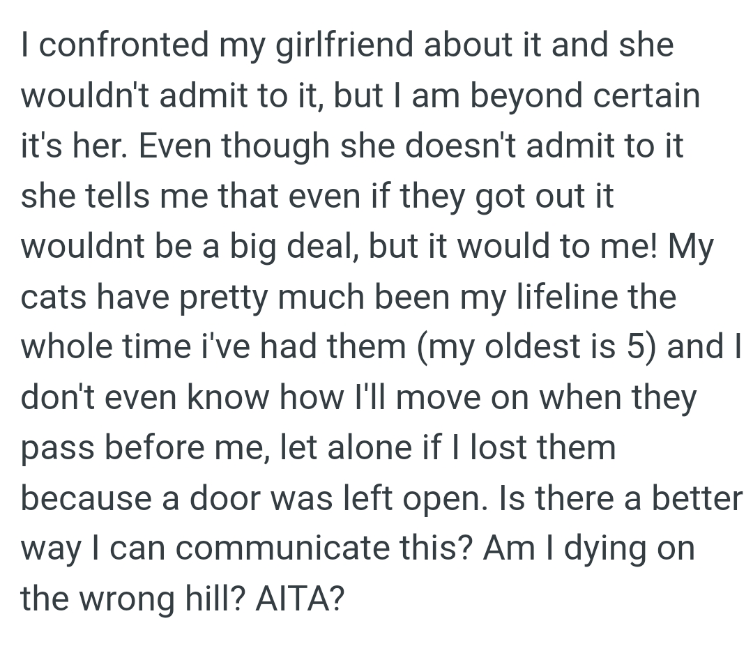 OP's cats have pretty much been his lifeline the whole time