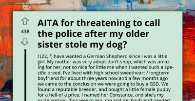 Branded As Abusive — Redditor Slammed For "Neglecting" Her Dog During BF's Family Emergency