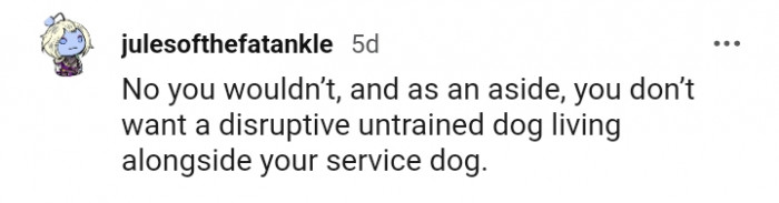 You definitely do not want a disruptive untrained dog