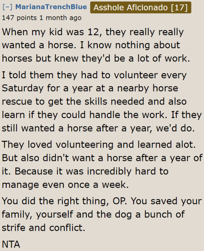 They can try volunteering for a shelter and see if they really want one.