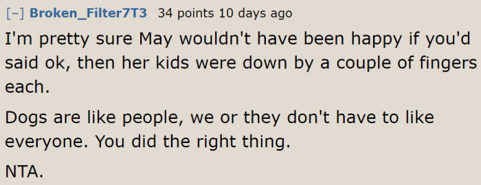 The Sister Should Be Thankful Nothing Happened to Her Kids.