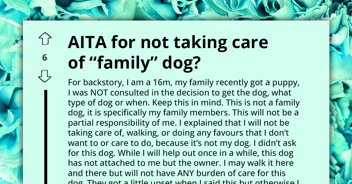 Redditor Asks If He's A**hole For Refusing To Help Take Care Of Family's New Puppy