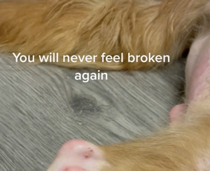 Dr. Bewley will never allow anything bad to happen to Travolta again