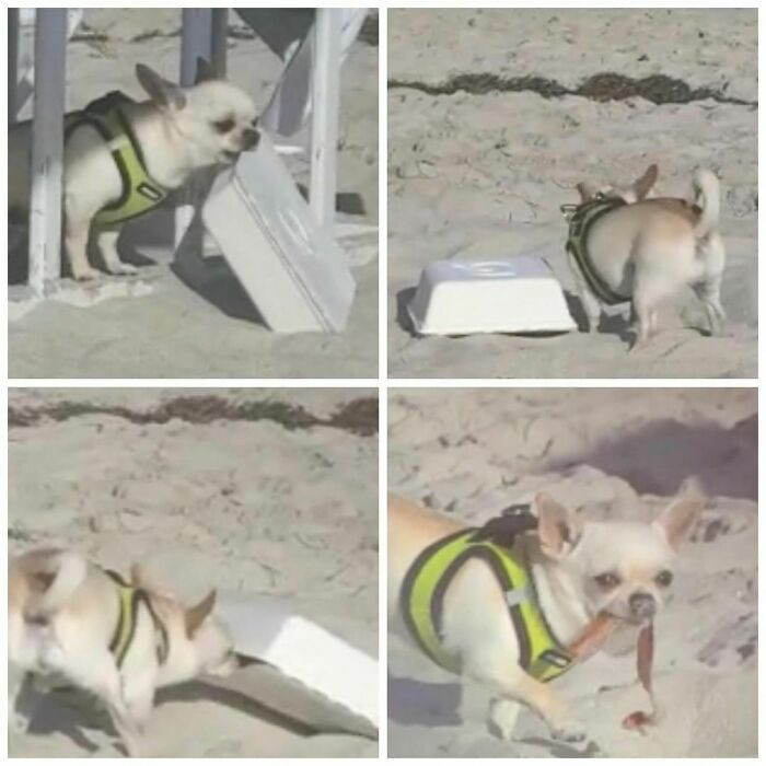 28. Going for an adventure or what?