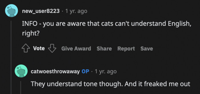 They may not understand it but they can certainly sense the emotions behind it