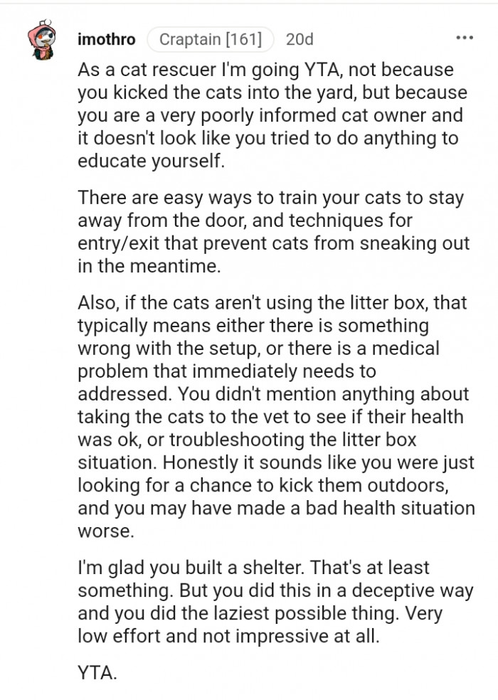 There are easy ways to train your cats