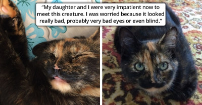 Woman Undergoing Chemotherapy Adopts a Kitten Because She Couldn’t Leave Her on the Street, and She Already Had Four Kittens at Home