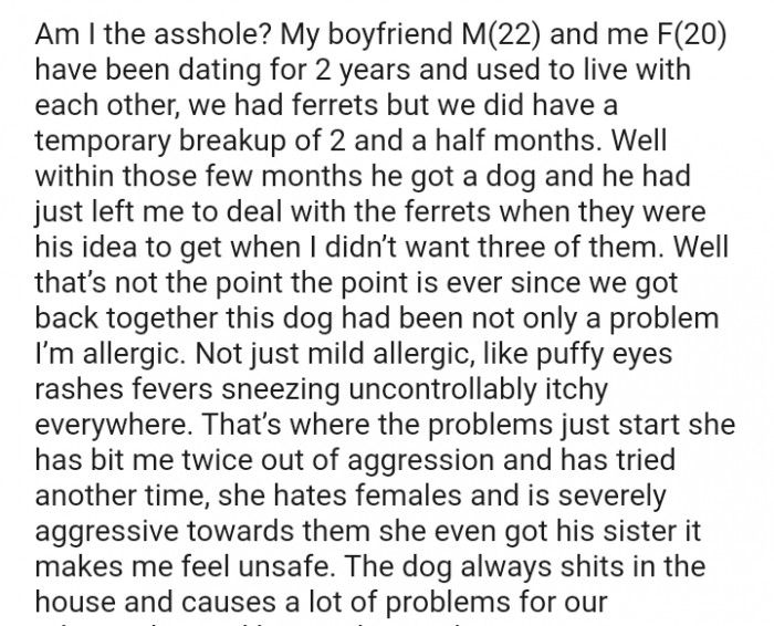 The OP's boyfriend had just left her to deal with the ferrets when they were his idea to get.