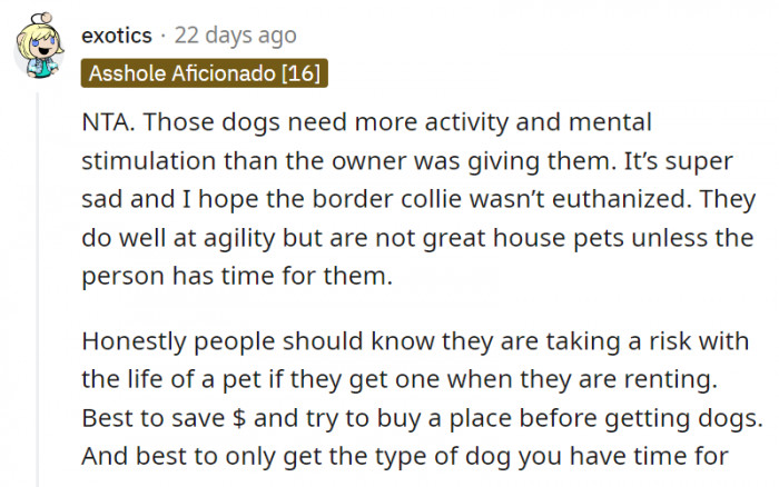 2. When getting dogs, it's best to choose only the type that you actually have time or energy for