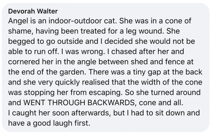 16. High-speed chase