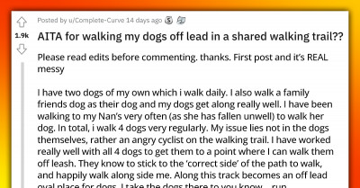 Person Gets Scolded By A Bicyclist For Walking Four Dogs Without A Lead On A Shared Walking Trail, And Is Confused Because Their Dogs Are “All Good Boys And Girls”