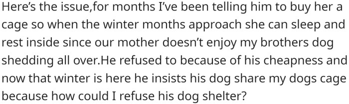 OP's sibling recently took in a large, long-haired dog but has not bought her anything and insists on sharing everything that OP has bought for their dog.