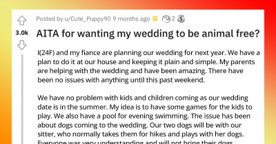 Bride Asks Redditors If It's Mean To Ban Pets On Her Wedding And Here Are Their Savage Responses