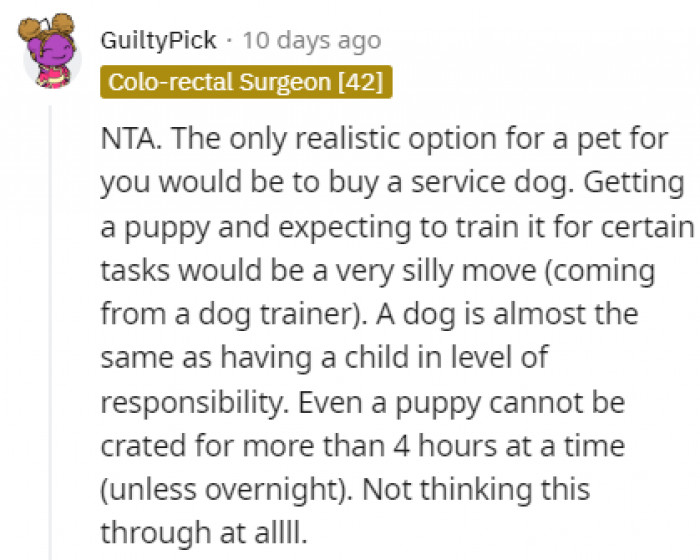 A service dog sounds like a good idea