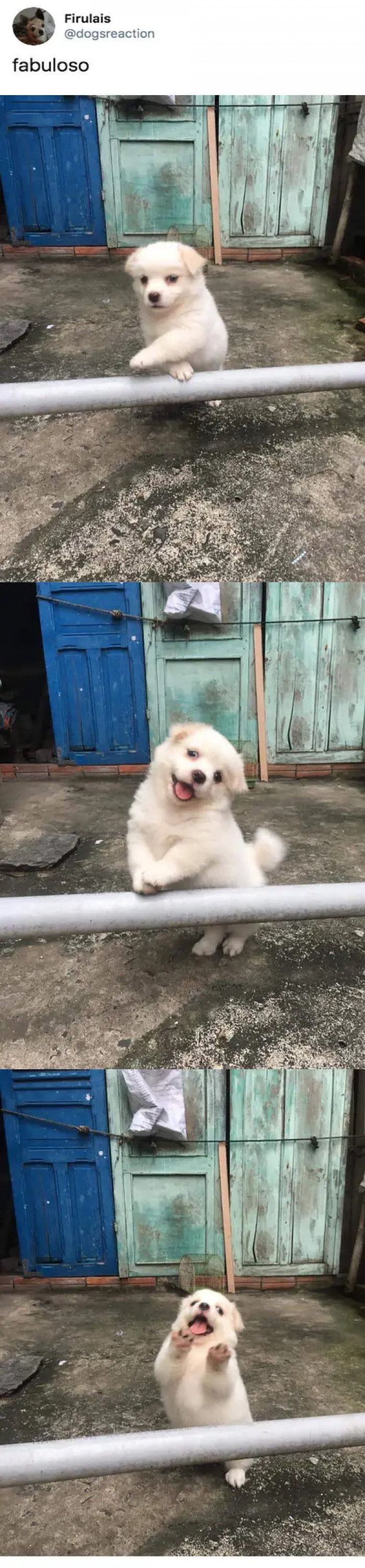 5. He’s a Natural!