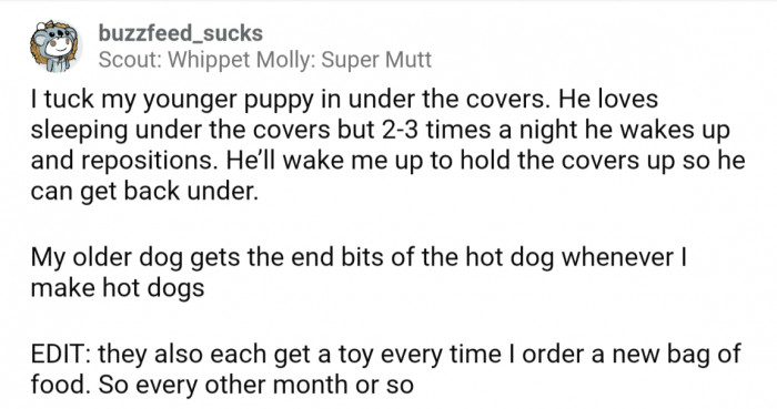 11. Puppy *has* to be tucked in