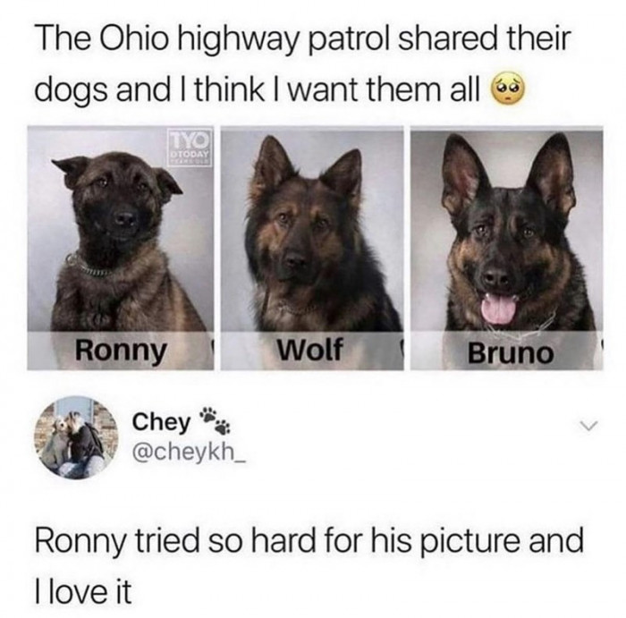 15. Ronny tried so hard...