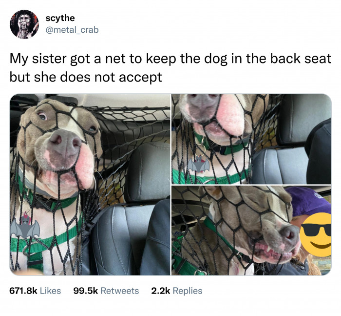 10. He will do everything in his power to get just a little bit closer.